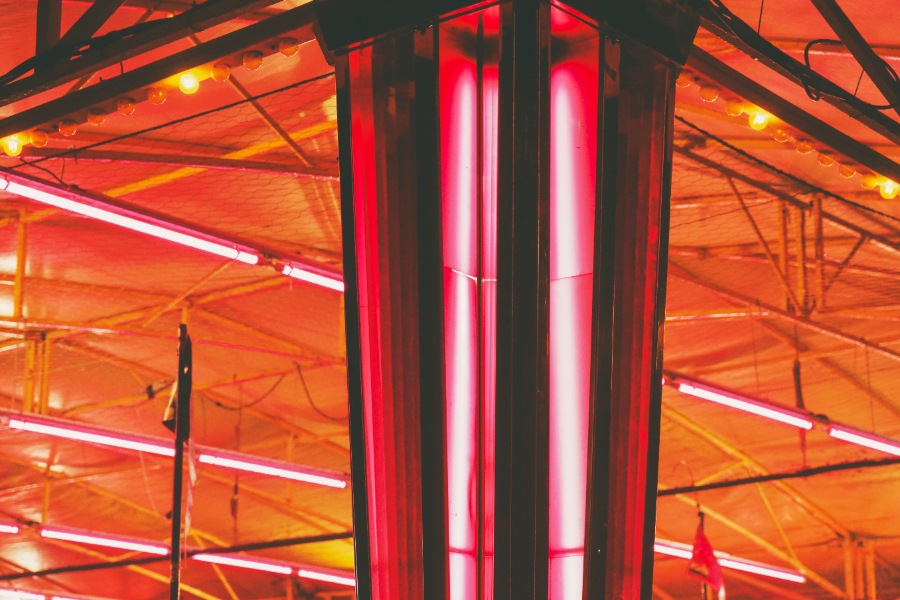 Un escabeau placé sous un néon, une main desserrant les petites vis qui maintiennent le cache