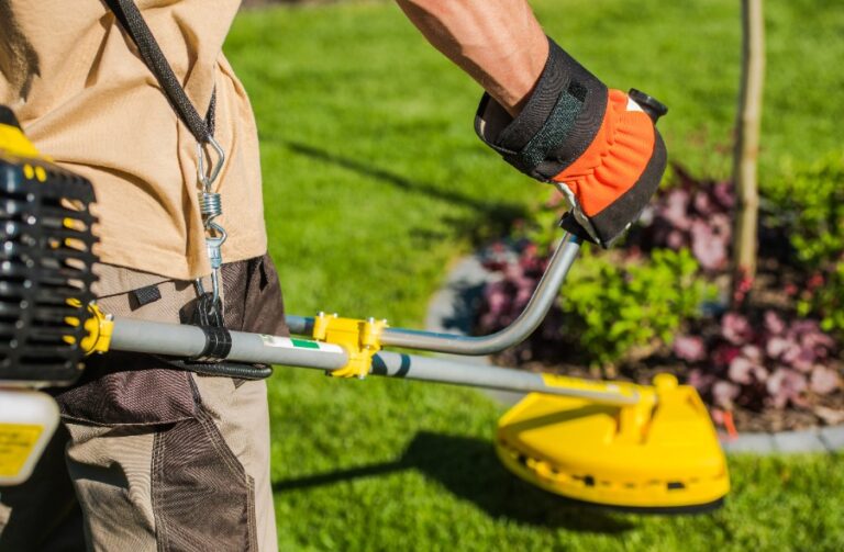 Débroussailleuse Stihl FS 55 ne démarre pas diagnostic et réparation — free download