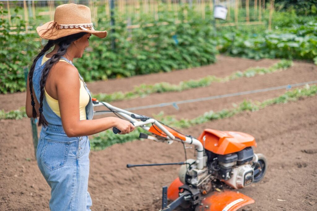 Nouvelle courroie positionnée correctement sur les poulies moteur et transmission