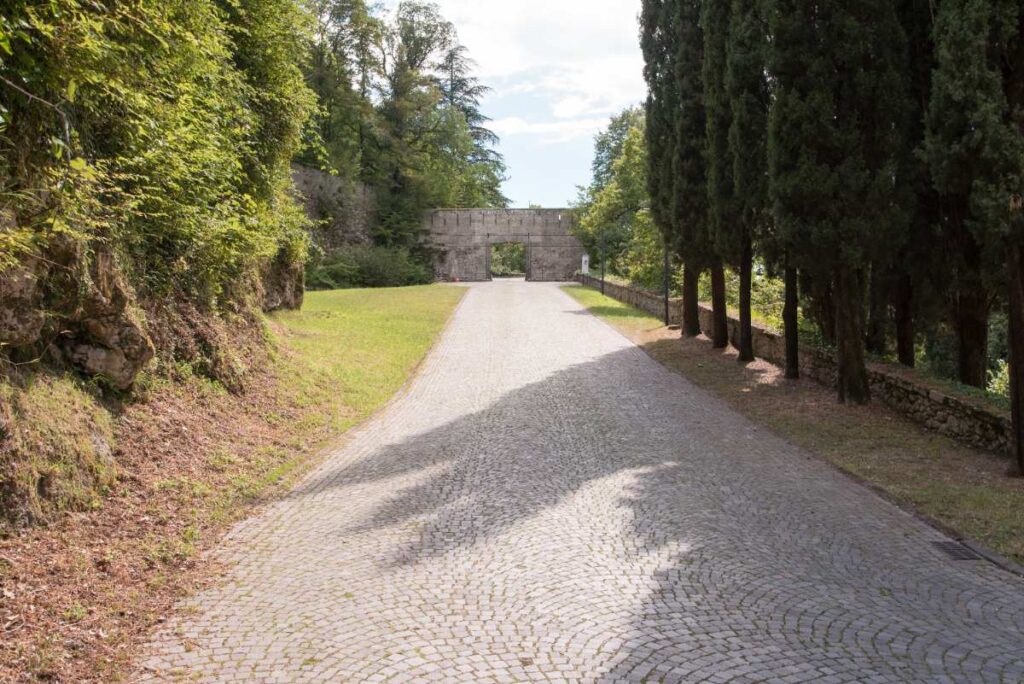 Une allée gravillonnée entre des arbres