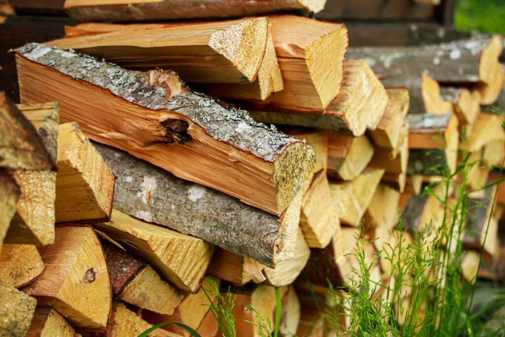 Des bois de chauffage empilés dans le jardin