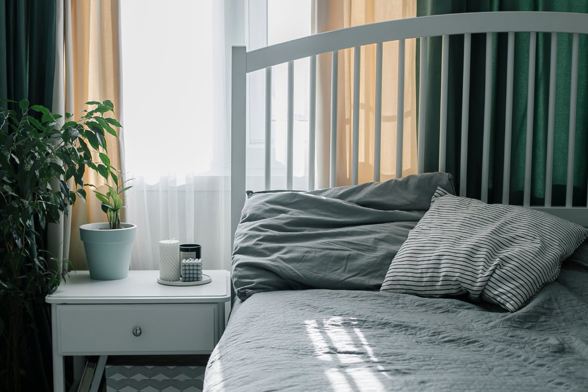 Une chambre à coucher avec une plante verte et une fenêtre